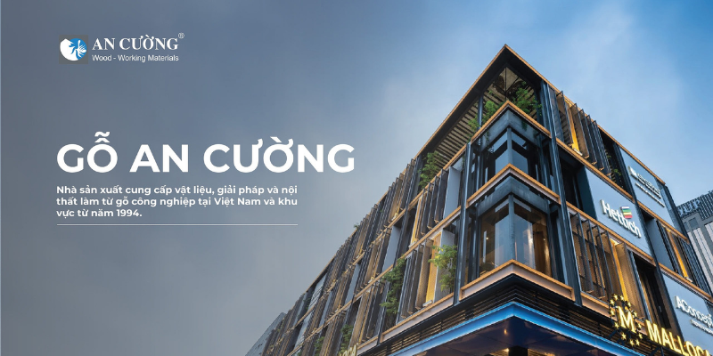 Thiết kế nội thất chuyên nghiệp quận 12